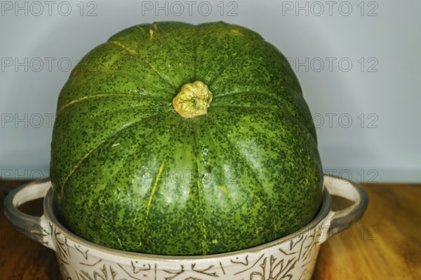 Green pumpkins in a ceramic bowl on wood and a white background