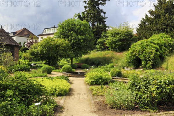 Paths for walkers in the Celle medicinal plant garden, show garden for medicinal plants, park, Expo 2000, Celle, Lüneburg Heath, Germany
