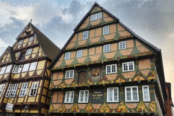 Hoppener Haus, famous half-timbered house, ornamentation, historic old town, Celle, Lüneburg Heath, Germany
