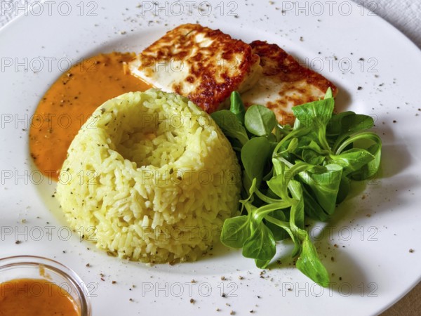 Served on a plate of rice, halloumi, sauce and fresh salad. A vegetarian dish appetisingly prepared with spices Self-cooked Lower Austria Austria