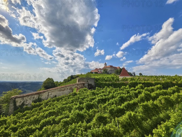 Panoramic view of green vineyards with a castle on a hill under a blue sky Riegersburg Styria Austria