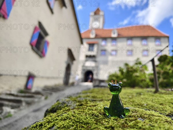 A glass frog sits on a mossy stone in front of a castle with colourful shutters Riegersburgs Styria Austria