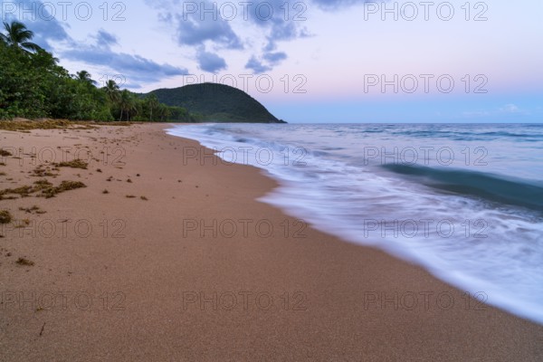Grande Anse beach, coast and sea at dawn, Deshaies, Basse Terre, Guadeloupe, French Antilles, Caribbean