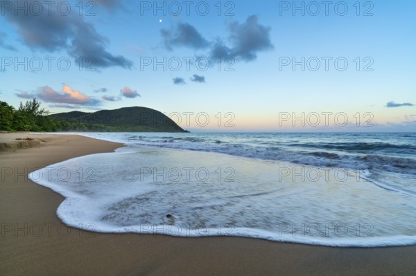 Grande Anse beach, coast and sea at dawn, Deshaies, Basse Terre, Guadeloupe, French Antilles, Caribbean