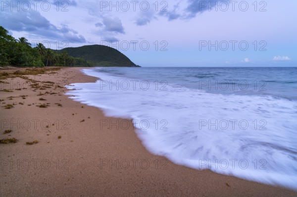 Grande Anse beach, coast and sea at dawn, Deshaies, Basse Terre, Guadeloupe, French Antilles, Caribbean