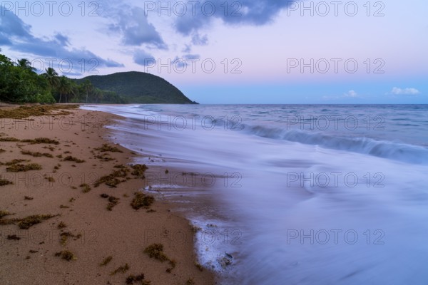 Grande Anse beach, coast and sea at dawn, Deshaies, Basse Terre, Guadeloupe, French Antilles, Caribbean