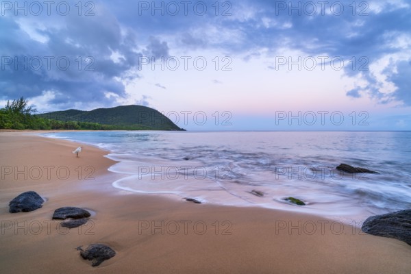 Grande Anse beach, coast and sea at dawn, Deshaies, Basse Terre, Guadeloupe, French Antilles, Caribbean