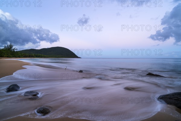 Grande Anse beach, coast and sea at dawn, Deshaies, Basse Terre, Guadeloupe, French Antilles, Caribbean