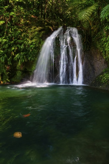 Cascade aux Ecrevisses waterfall in the Guadeloupe National Park, Basse Terre, Guadeloupe, French Antilles, Caribbean