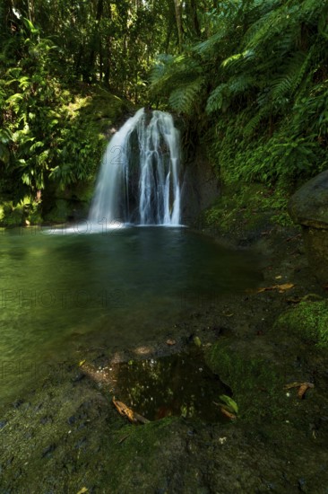 Cascade aux Ecrevisses waterfall in the Guadeloupe National Park, Basse Terre, Guadeloupe, French Antilles, Caribbean