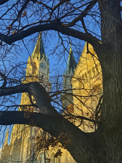 Two church towers protrude from behind a tree, silhouetted against the clear blue sky, Klosterneuburg Lower Austria Austria