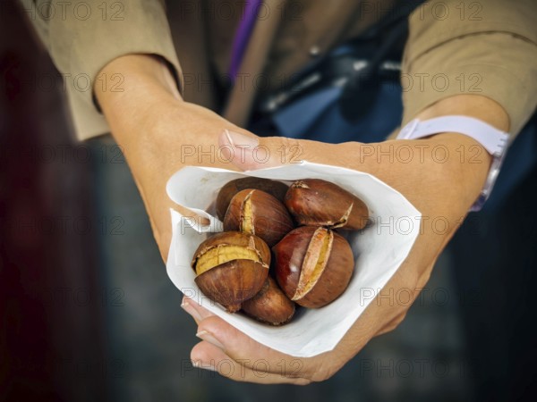 Person holding a bag of freshly roasted chestnuts that radiate warmth and autumn atmosphere Lower Austria Austria