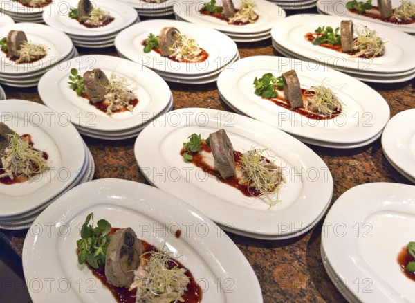 Elegant arrangement of appetiser plates with meat, salad and sauce in a buffet presentation Lower Austria Austria