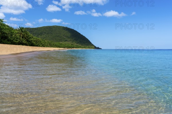 Grande Anse beach, Deshaies, Basse Terre, Guadeloupe, French Antilles, Caribbean