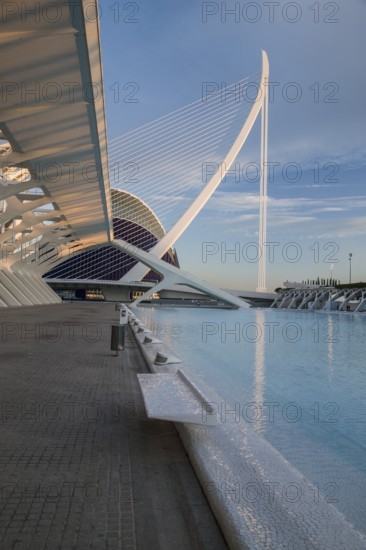 Futuristic architectural design in Valencia next to a water basin under a blue sky City of Arts and Sciences