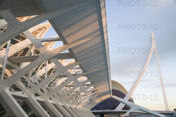 Futuristic architecture in Valencia with light blue and white structures in the shade City of Arts and Sciences