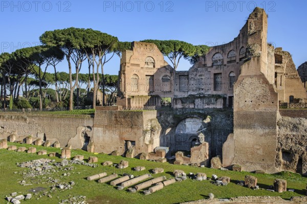 Front view of parts of ancient Palatine stadium Hippodrome with lying column fragments, behind towering ruins of imperial lodge former magnificent building part of palace of Roman Emperor Domitian on Palatine Hill Palatine, Rome, Lazio, Italy