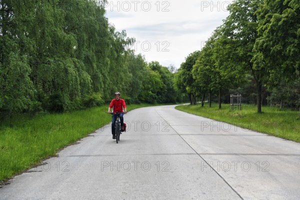 Cyclist on through road, cycle tour across military training area, Senne nature reserve, Teutoburg Forest, North Rhine-Westphalia, Germany