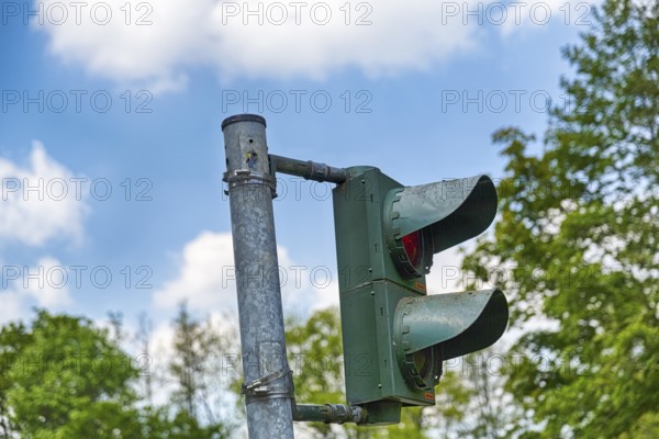 Blue tit (Cyanistes caeruleus) nests, breeds in a traffic light, unusual nest, adaptability, adaptation, Extertal, Lipper Bergland, Teutoburg Forest nature park Park, Lower Saxony, Germany