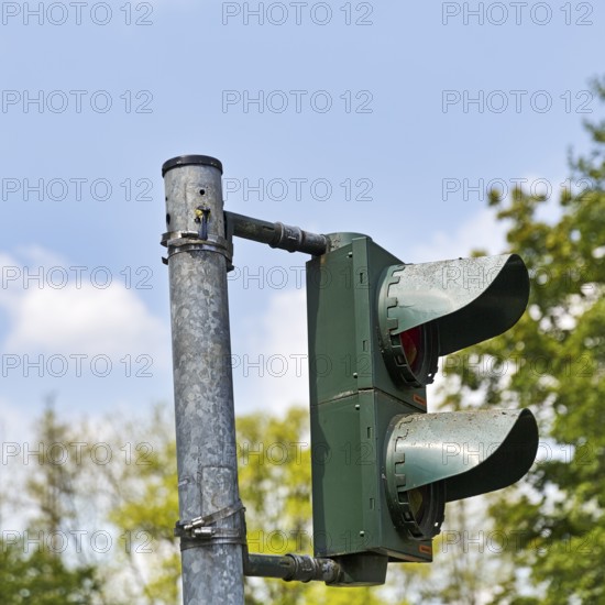 Blue tit (Cyanistes caeruleus) nests, breeds in a traffic light, unusual nest, adaptability, adaptation, Extertal, Lipper Bergland, Teutoburg Forest nature park Park, Lower Saxony, Germany