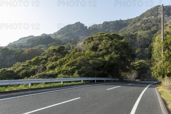 Tarmac road through green vegetation and mountain landscape in the evening light, Hota, Kyonan, Chiba Prefecture, Japan