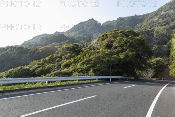 Tarmac road through green vegetation and mountain landscape in the evening light, Hota, Kyonan, Chiba Prefecture, Japan