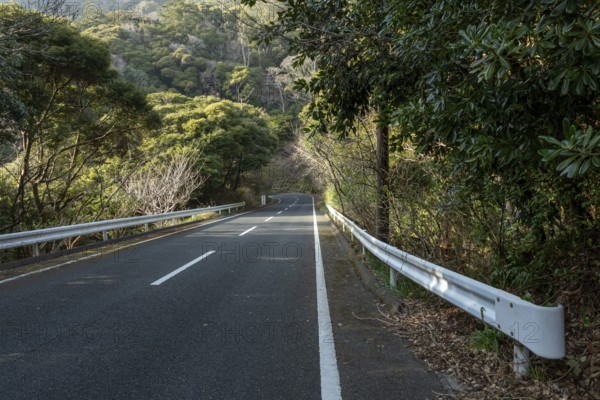 Guardrail and tarmac road through green vegetation and mountain landscape in the evening light, Hota, Kyonan, Chiba Prefecture, Japan