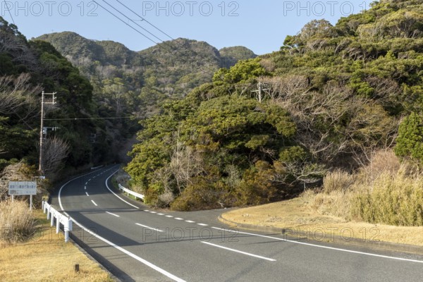 Tarmac road through green vegetation and mountain landscape in the evening light, Hota, Kyonan, Chiba Prefecture, Japan