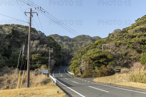 Tarmac road through green vegetation and mountain landscape in the evening light, Hota, Kyonan, Chiba Prefecture, Japan