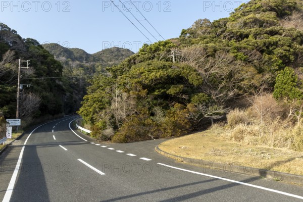 Tarmac road through green vegetation and mountain landscape in the evening light, Hota, Kyonan, Chiba Prefecture, Japan