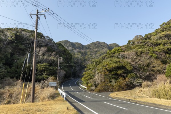 Tarmac road through green vegetation and mountain landscape in the evening light, Hota, Kyonan, Chiba Prefecture, Japan