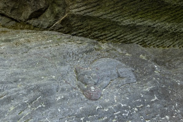 Close-up of a cat figure with a ball of wool carved into the stone on the Shariki-michi Trail to Mount Nokogiri, Mount Nokogiri, Hamakanaya, Futtsu, Chiba Prefecture, Japan