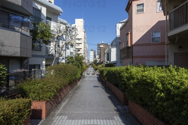 Residential buildings in front of a blue sky in a narrow alley with green plants and idyllic blossoming trees in spring, Higashi-Nakano, Tokyo, Chiba, Japan