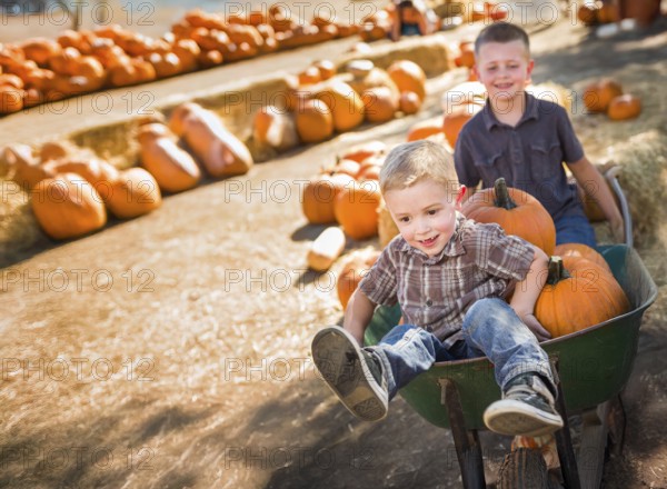 Two little boys playing in wheelbarrow at the pumpkin patch on a sunny fall day
