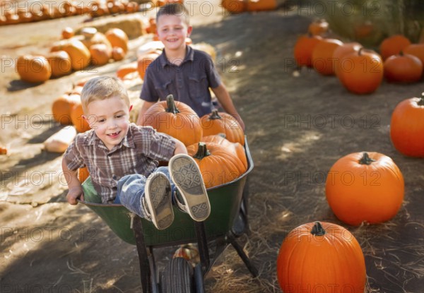 Two little boys playing in wheelbarrow at the pumpkin patch on a sunny fall day