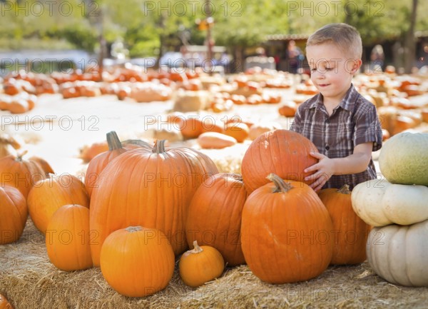 Young cute boy having fun at the pumpkin patch on a sunny fall day