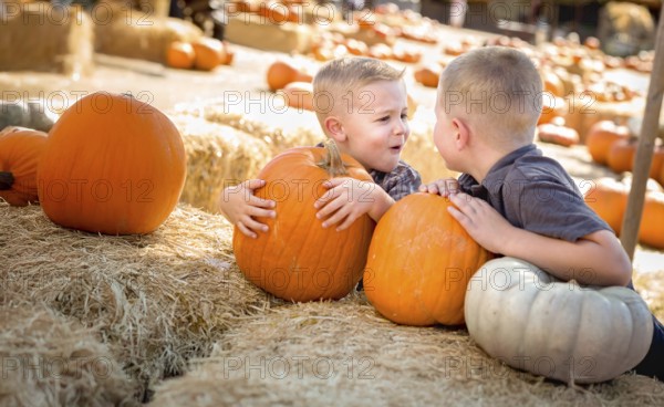 Two boys having fun at the pumpkin patch on a sunny fall day