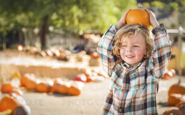 Cute young boy having fun at the pumpkin patch on a sunny fall day