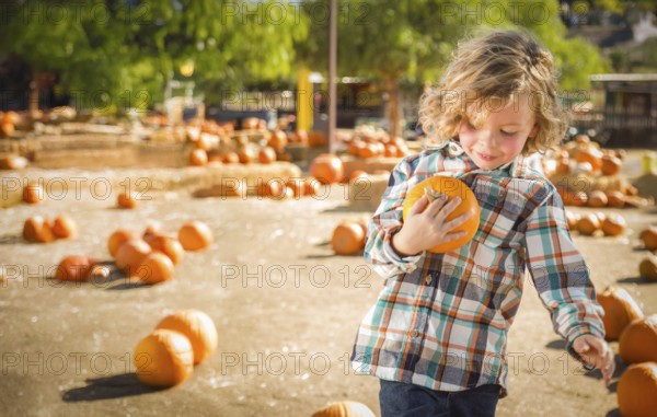 Cute young boy having fun at the pumpkin patch on a sunny fall day