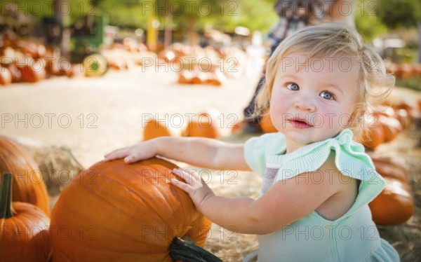 Cute baby girl having fun at the pumpkin patch on a sunny fall day