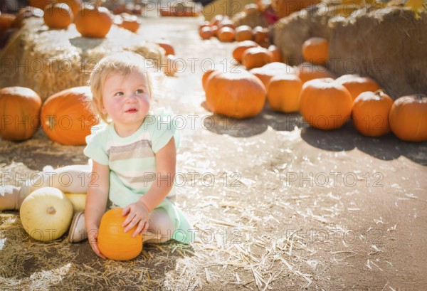 Cute baby girl having fun at the pumpkin patch on a sunny fall day