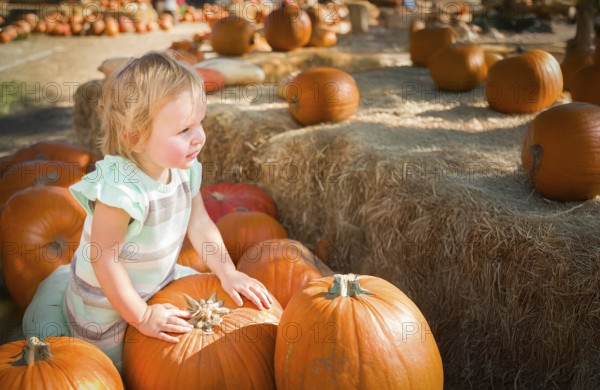 Cute baby girl having fun at the pumpkin patch on a sunny fall day