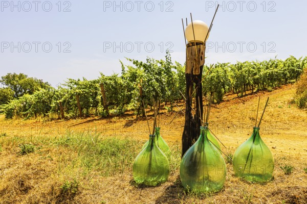 Art object with green glass bottles next to a vineyard, near Arrighi Winery, Porto Azzurro, Elba Island, Tuscan Archipelago National Park, Tuscany, Italy