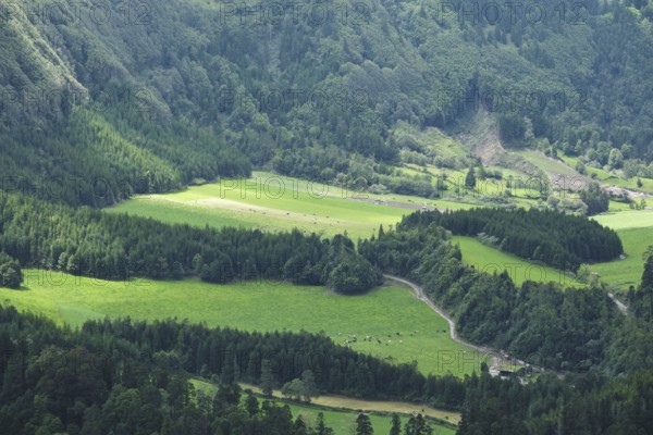 View of a valley near Sete Cidades, São Miguel, Azores, Portugal