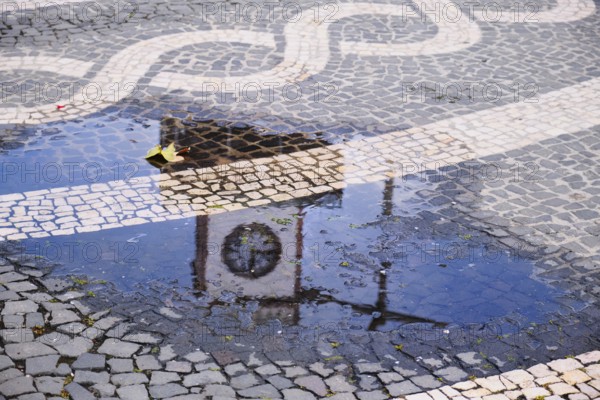 Tower of the town hall reflected in a puddle, Ponta Delgada, São Miguel, Azores, Portugal