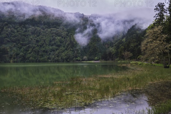 At Lagoa Azul, Sete Cidades, São Miguel, Azores, Portugal