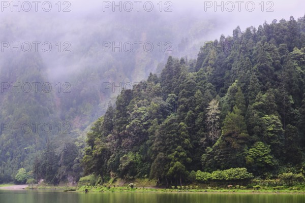 At Lagoa Azul, Sete Cidades, São Miguel, Azores, Portugal