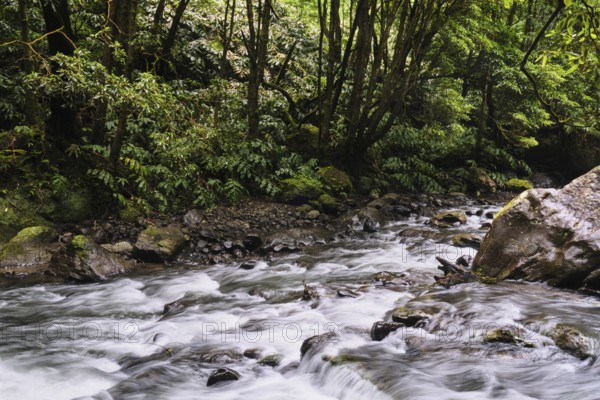 Torrent, Salto do Cabrito waterfall, São Miguel, Azores, Portugal