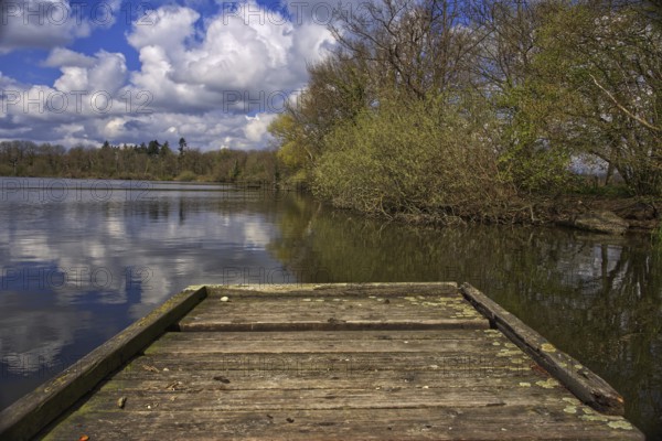 Wooden footbridge at the lake (Krickenbecker Seen) with trees and cloudy sky in spring, Nettetal