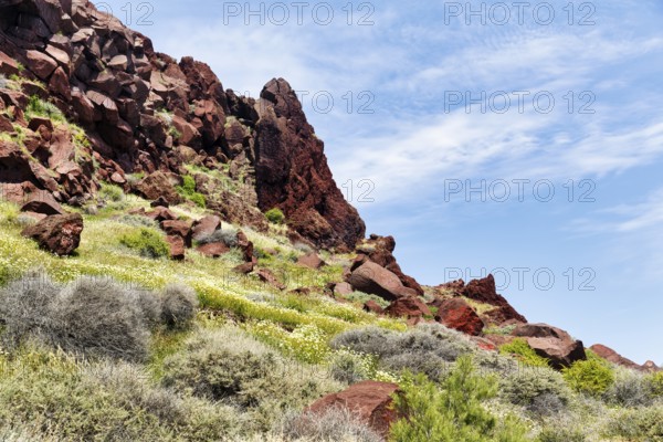 Red rocks, volcanic rock, typical landscape near Akrotiri, Santorini, Cyclades, Greece